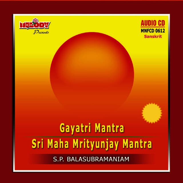GAYATRI / SRI MAHA MRITYUNJAY MANTRA (DIVINE CHANTS )