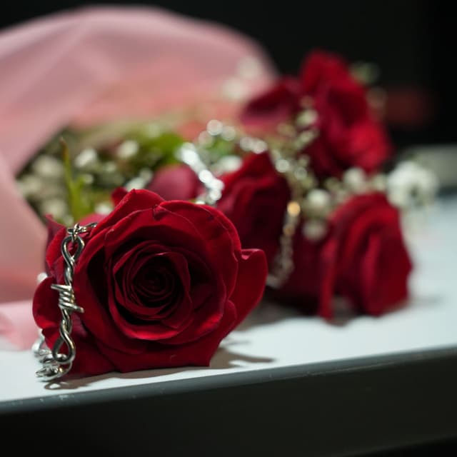 4 ROSAS
