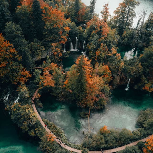 Relaxing Music for Meditation