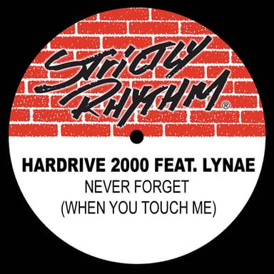 Never Forget (When You Touch Me)