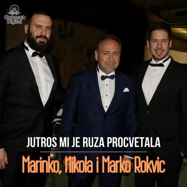 Jutros mi je ruza procvetala