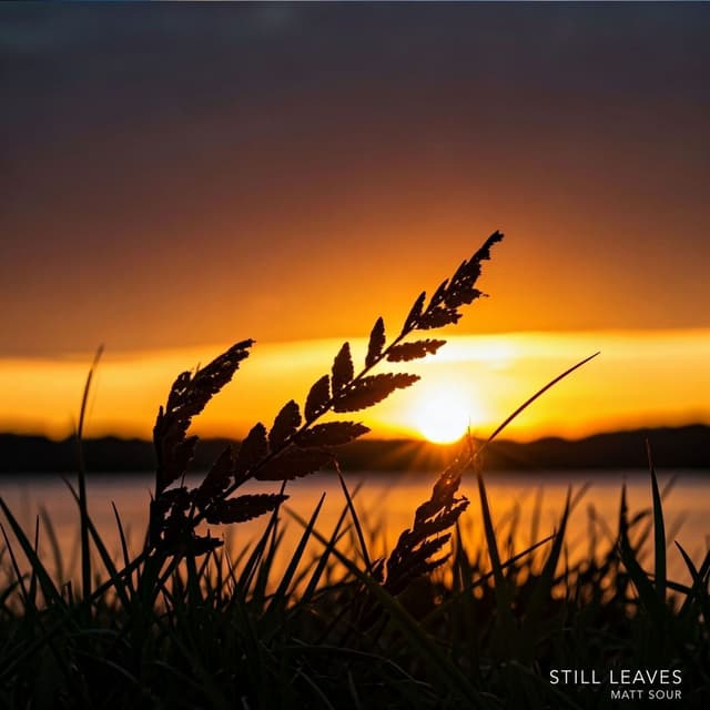 Still Leaves