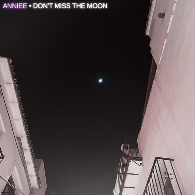 Don't Miss The Moon