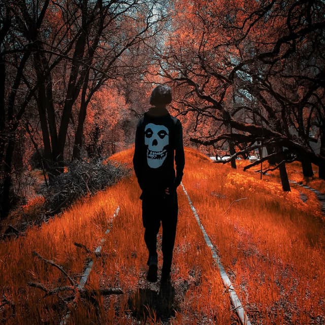 Don't Come To My Funeral