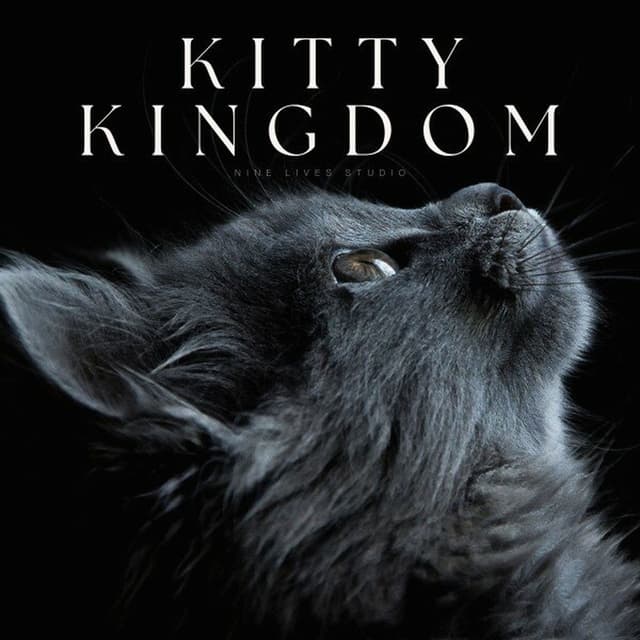 Kitty Kingdom