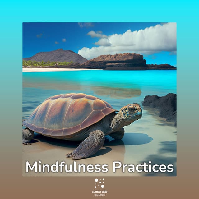Mindfulness Practices