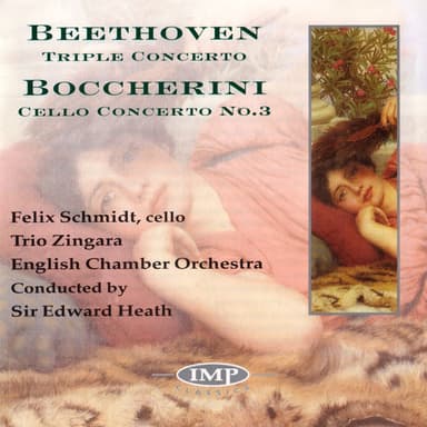 Concerto for Cello & Strings No. 3 in G Major: I. Allegro moderato