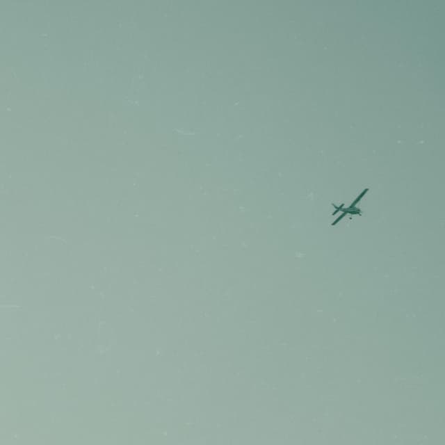 Flight simulator