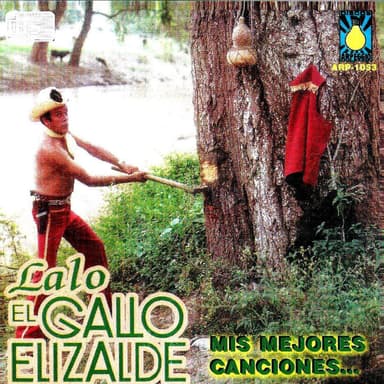 Mis Mejores Canciones