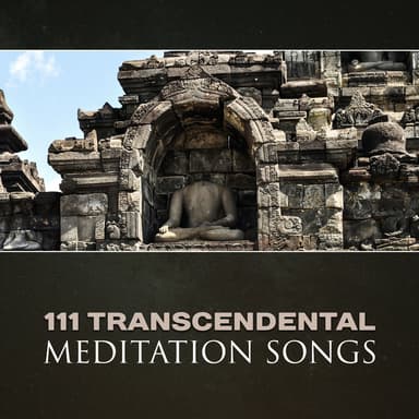 111 Transcendental Introspection Aural Poems