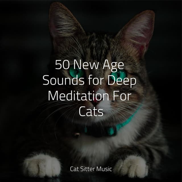 50 New Age Sounds for Deep Meditation For Cats