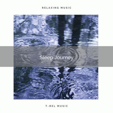 1 Sleep Journey