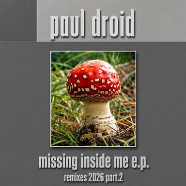 Missing Inside Me (Remixes 2026 Part.2)
