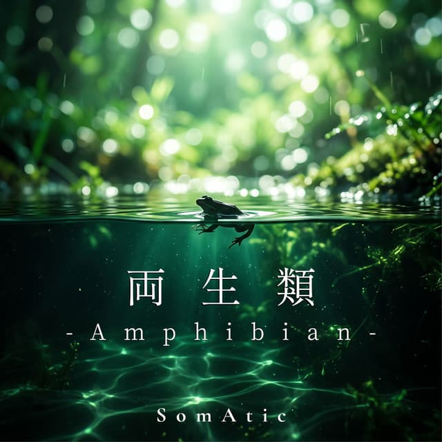 Amphibian