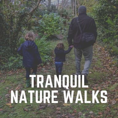 Tranquil Nature Walks