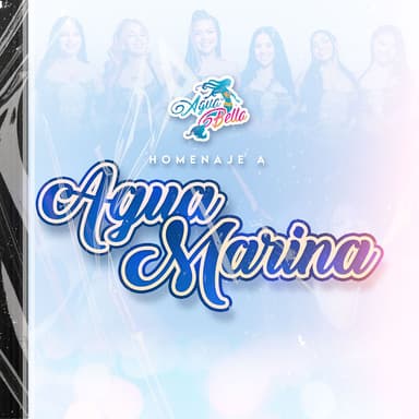 Homenaje a Agua Marina: Tu amor fue una mentira | Cenizas (Mix)