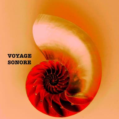 Voyage Sonore