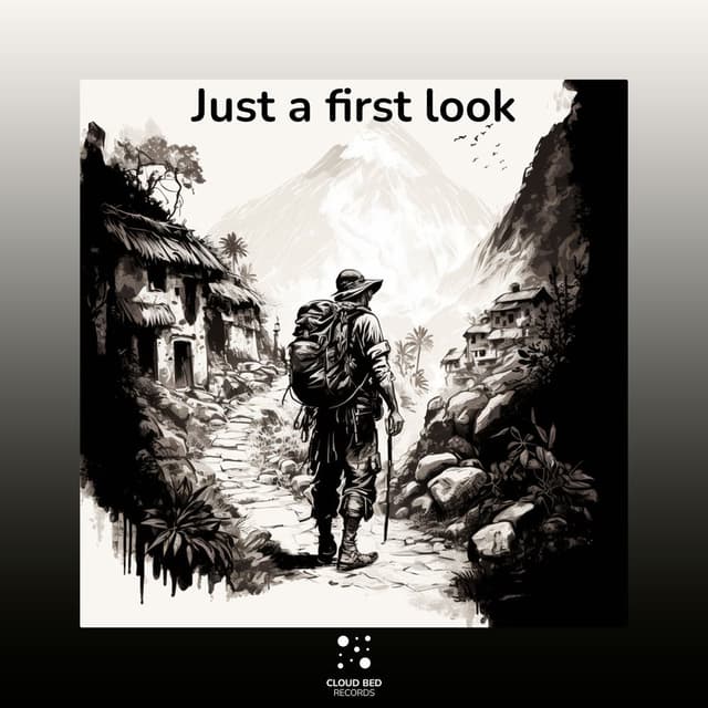 Just a First Look