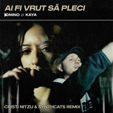 Ai fi vrut să pleci (Cristi Nitzu Remix)