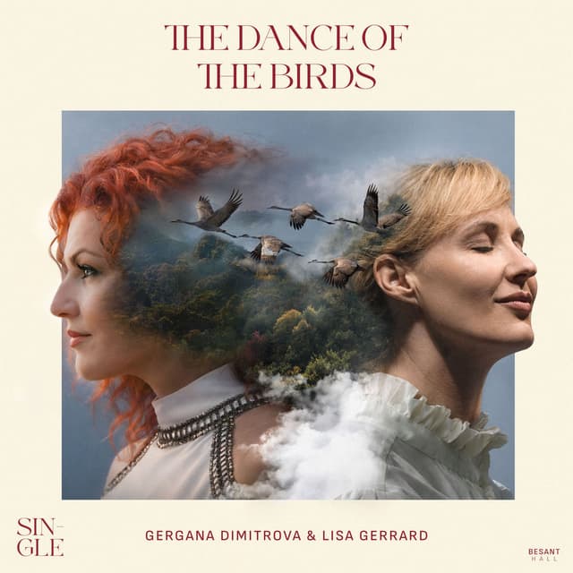 The Dance Of The Birds