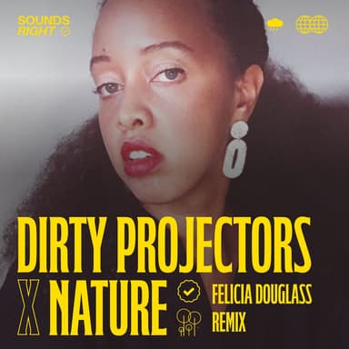 Shifting Shalestones (Felicia Douglass Remix)