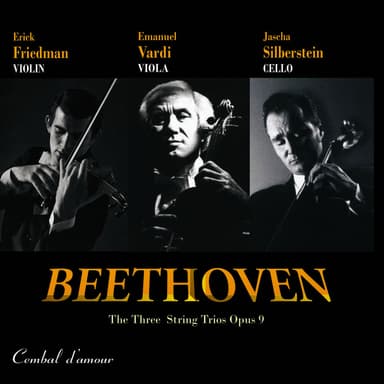 Ludwig van Beethoven: The Three String Trios, Opus 9