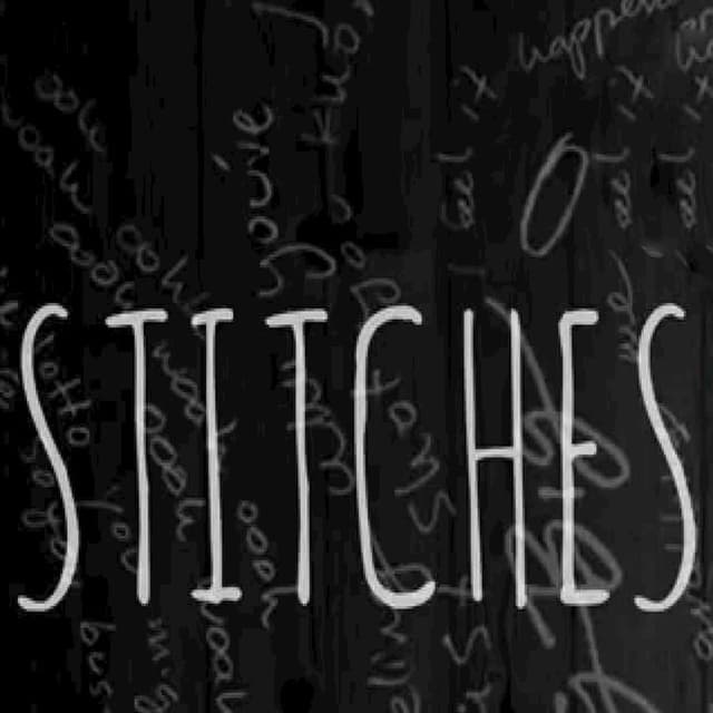 Stitches (Originally Performed by Shawn Mendes) (Instrumental Version)