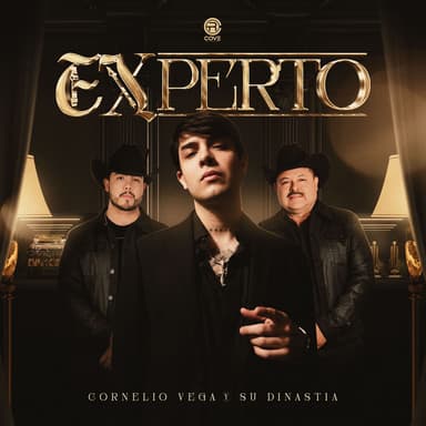 Experto