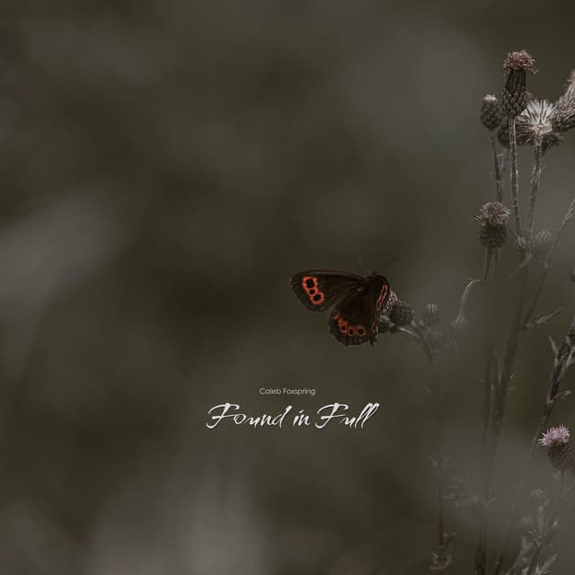 Found in Full