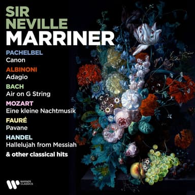 Pachelbel: Canon - Albinoni: Adagio - Bach: Air on G String - Mozart: Eine kleine Nachtmusik - Fauré: Pavane & Other Classical Hit