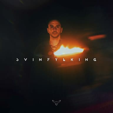Svinfylking (feat. Bjorth & Noiduin) (Techno Version)