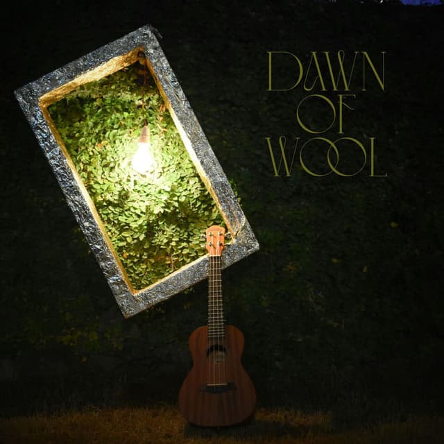 Dawn Of Wool