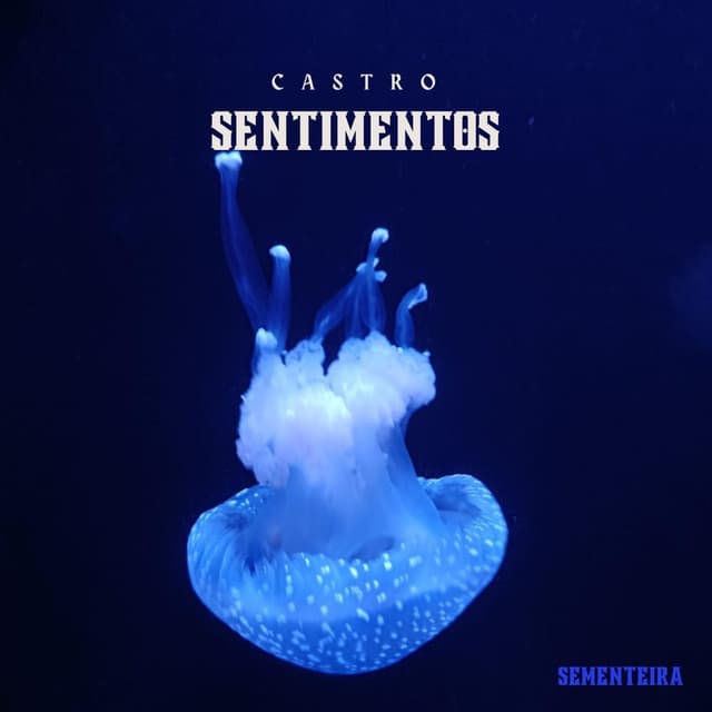 SENTIMENTOS