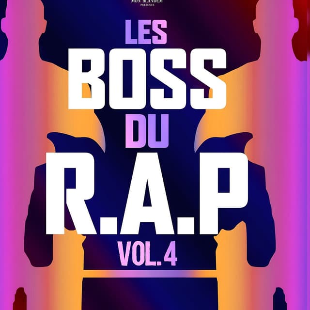 Les boss du rap, Vol.4