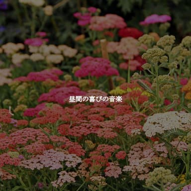 昼間の喜びの音楽
