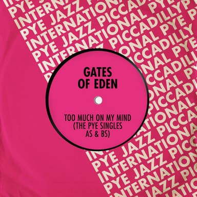 Too Much on My Mind: The Pye Singles As & Bs