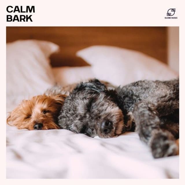 Calm Bark: Dog Anxiety Relief