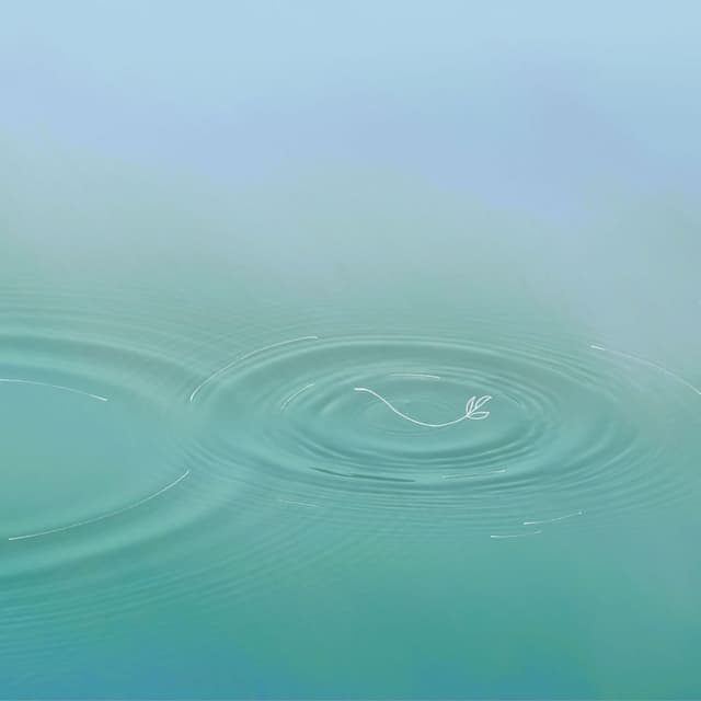 Lakes