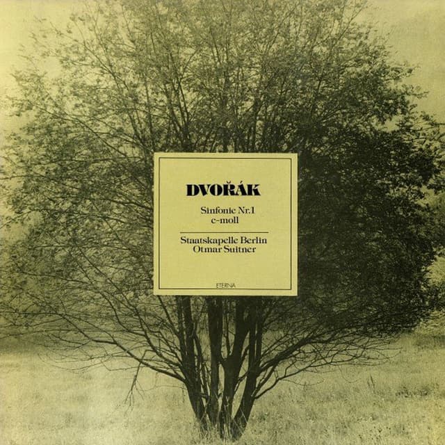 Dvořák: Sinfonie No. 1