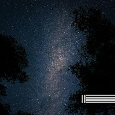 Natural Night Sounds