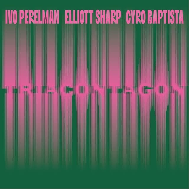 Triacontagon