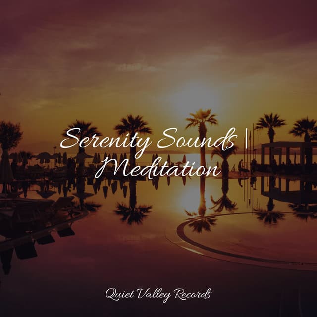 Serenity Sounds | Meditation