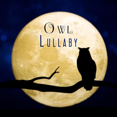 Owl Lullaby: Blissful Moon, Bedtime Bird, Forest Aura