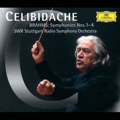 Symphony No. 3 in F Major, Op. 90 : Brahms: Symphony No. 3 in F Major, Op. 90: III. Poco allegretto