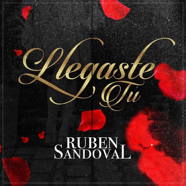 Llegaste Tu
