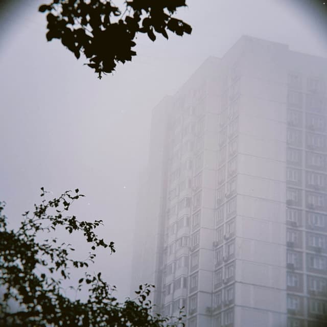 TAPE251.bloom