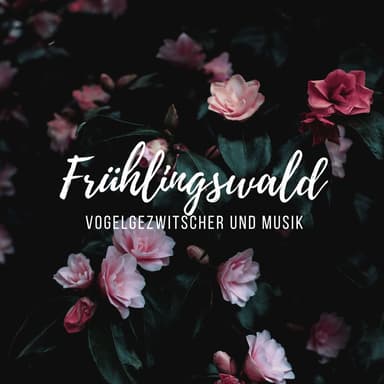 Frühlingswald - Spaziergang im Frühlingswald, Vogelgezwitscher und Musik zur Entspannung