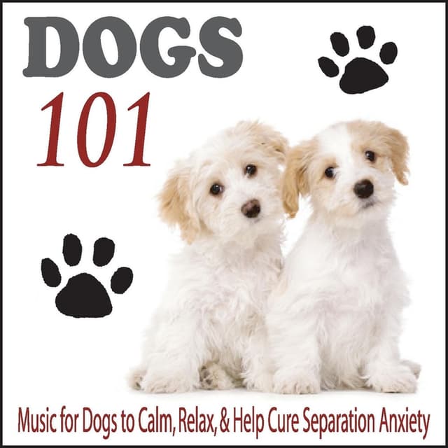 Dogs 101: Music for Dogs to Calm, Relax, & Help Cure Separation Anxiety