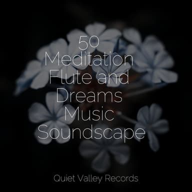 50 Meditation Flute and Dreams Music Soundscapes