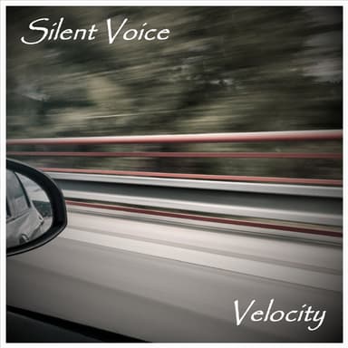 Velocity